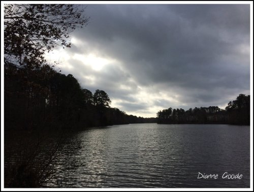 Lake Lynn 1213